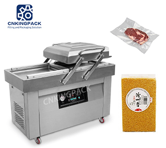 DZ500/2SB Double Chamber Vacuum Packaging Machine